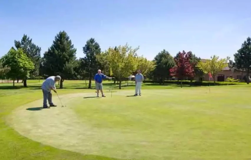 Cleethorpes Golf Club: players putting on a tree-lined green.